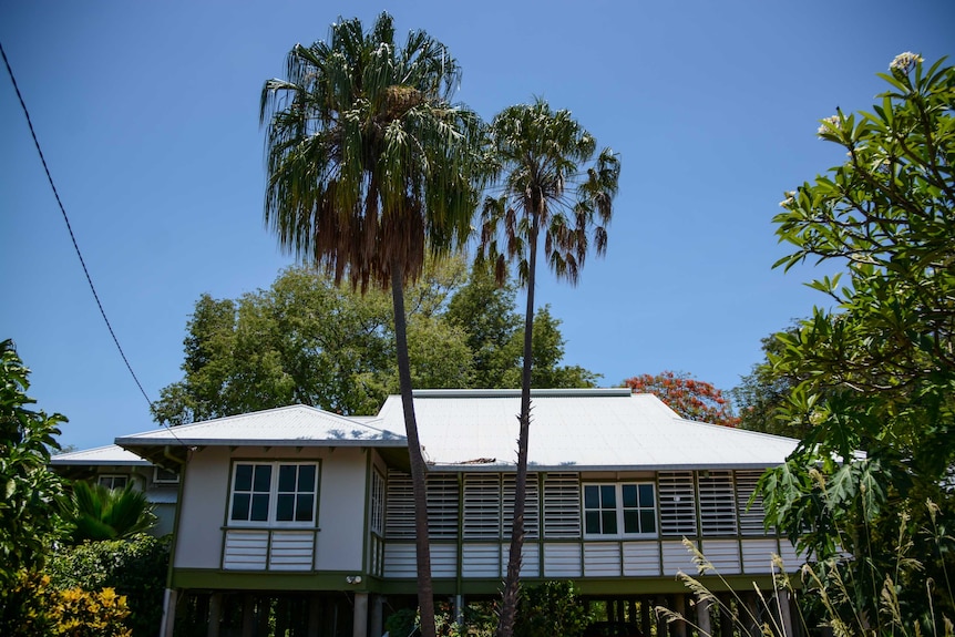 Exterior of a 1930s tropical house in Darwin with two palm trees out the front