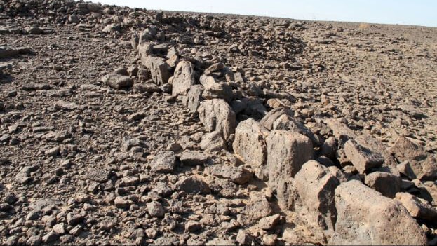 Stones lined up in a row on a stony ground.