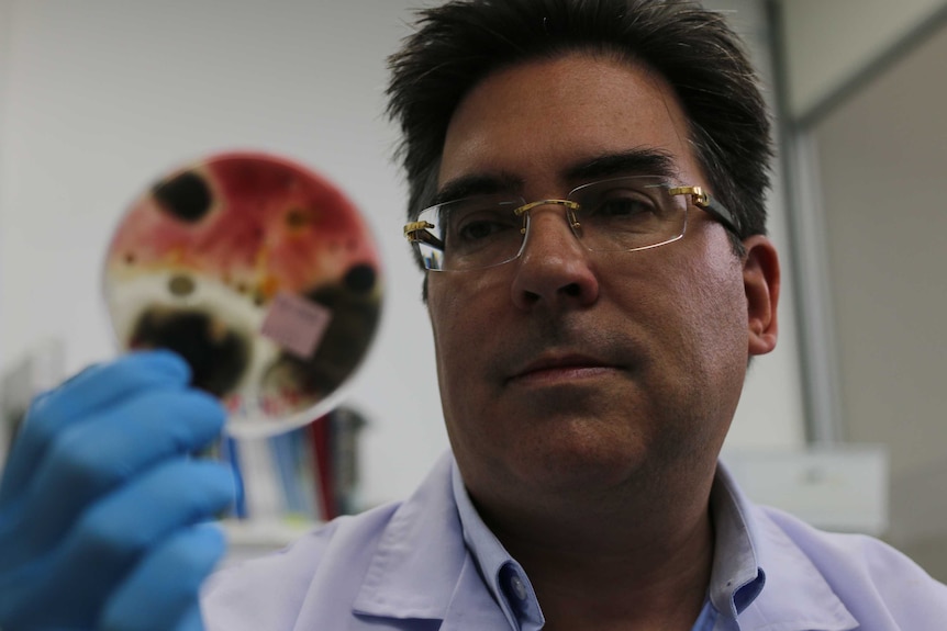 Microbiologist Dr Cameron Jones holds a petri dish of mould