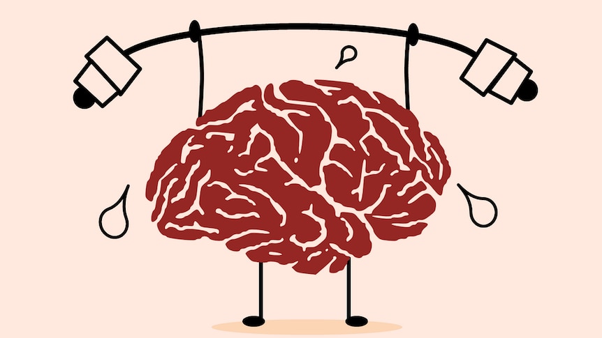 Illustration of a  brain strenuously lifting a weight.