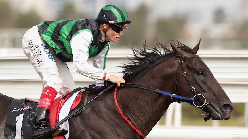 Shamus Award wins Australian Guineas