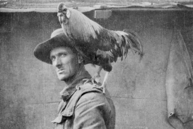 WWI soldier with a rooster on his shoulder