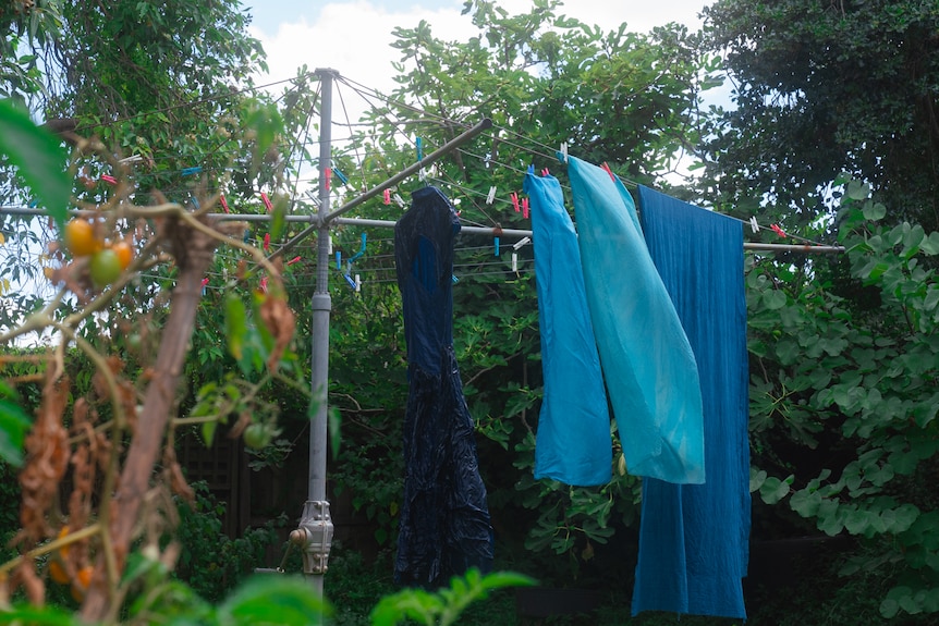 Four sheets of blue fabrics are seen hanging on a clothesline in a green, overgrown garden.