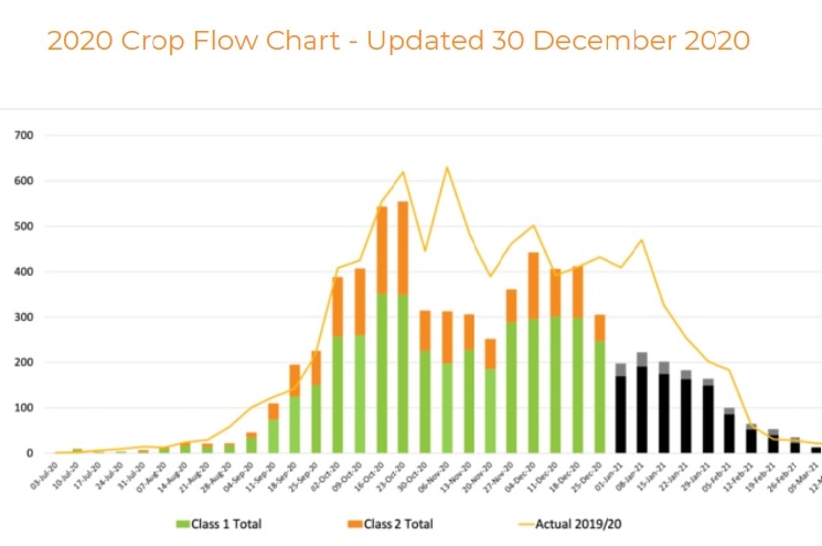 Crop flow chart for Australian mangoes
