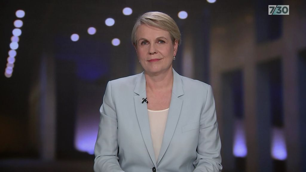 Minister For The Environment And Water, Tanya Plibersek, Speaks To 7.30 ...