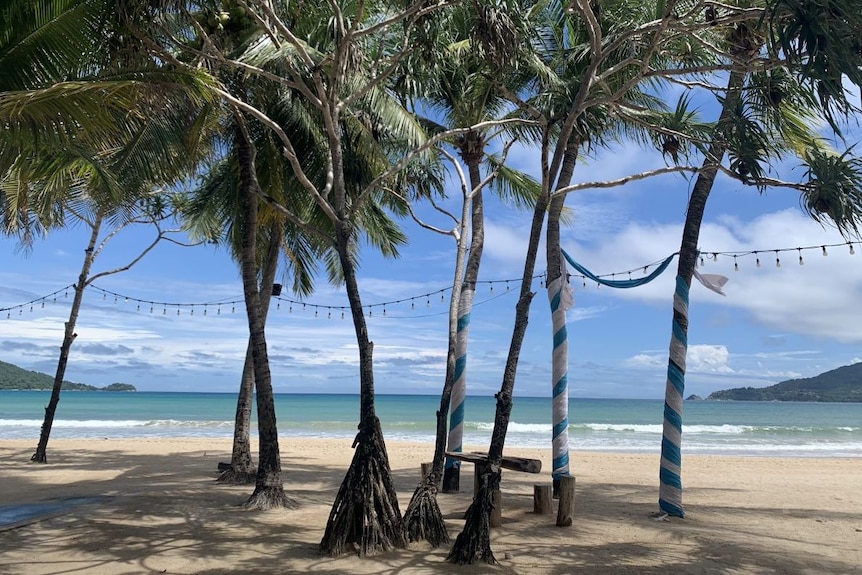 An empty beach shaded by palm trees 