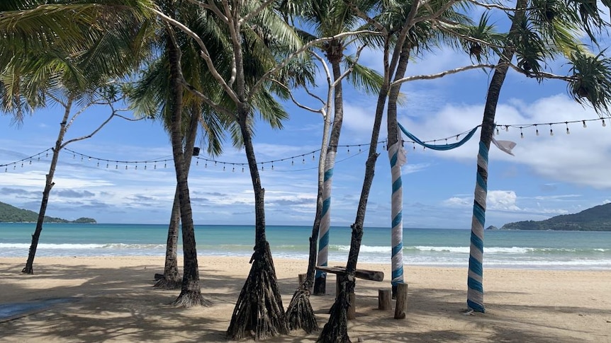 An empty beach shaded by palm trees 