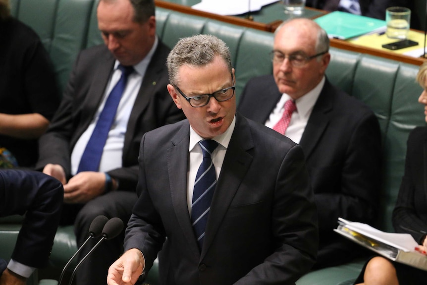 Christopher Pyne speaks in Parliament