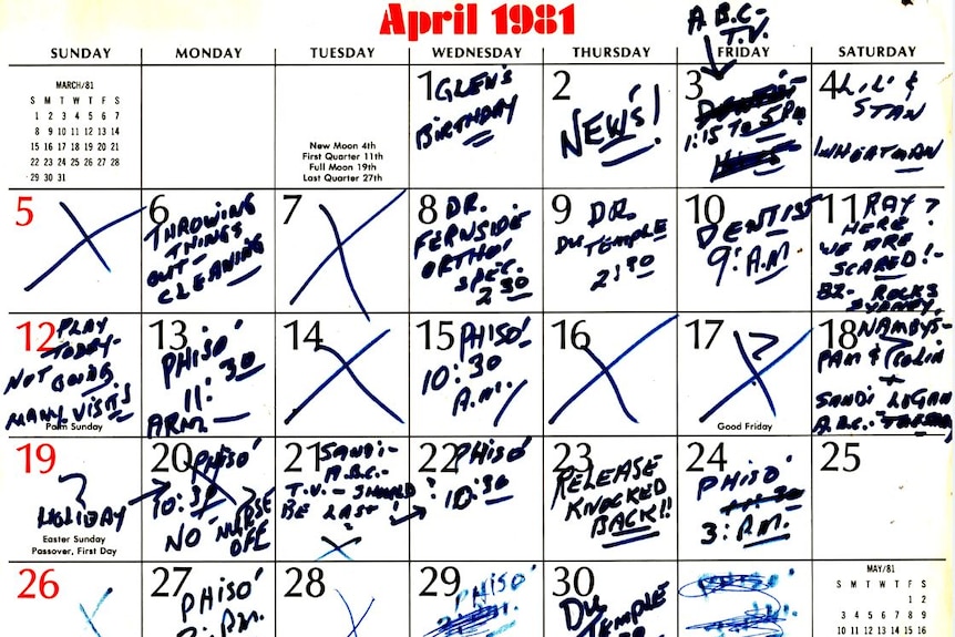 A calendar with 'April 1981' at the top and scrawlings like 'appeal knocked back again' or 'physio' on different days.
