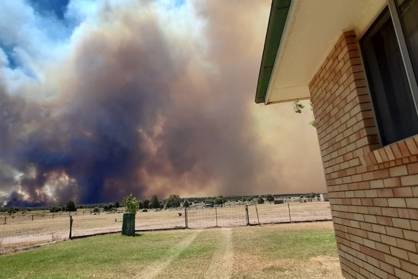 a large cloud of bushfire smoke rises in the distance