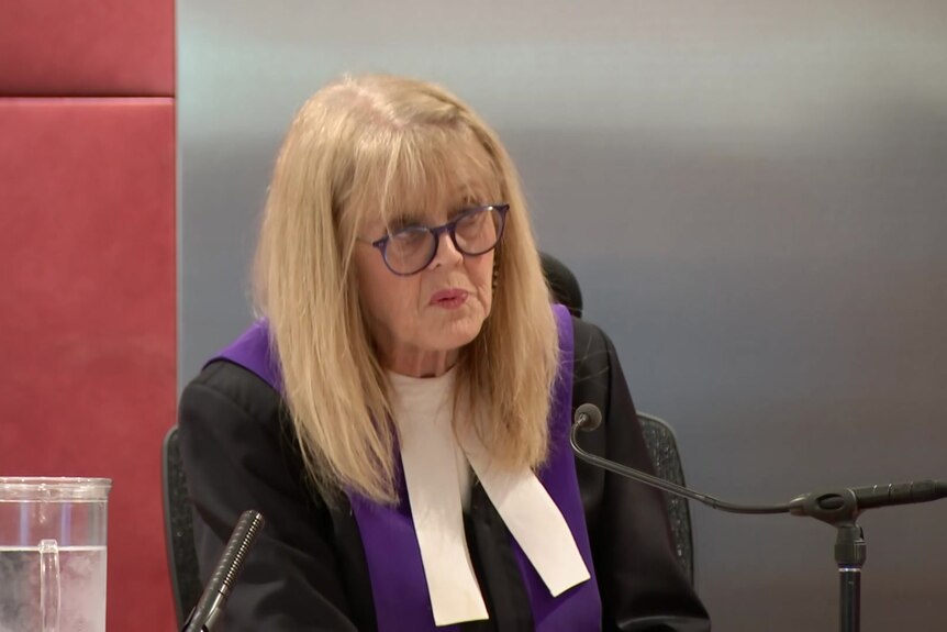 Judge Liz Gaynor sits at the court bench and speaks into a microphone.