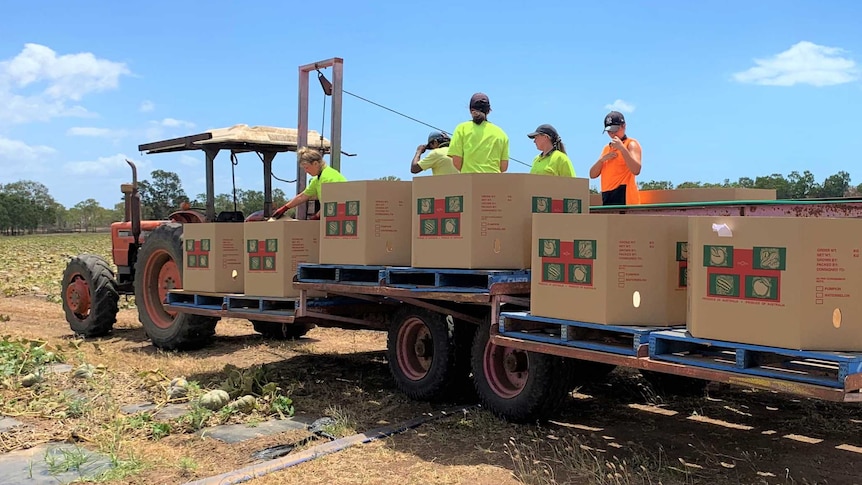 backpackers on fruit picking trailer