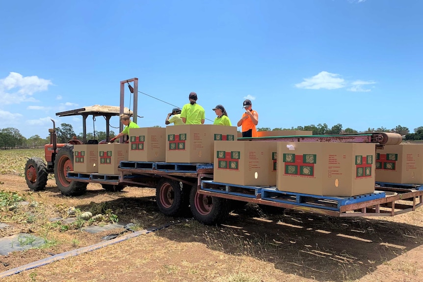 backpackers on fruit picking trailer