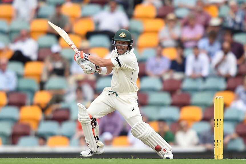 David Warner cuts on day three of the first Test against new Zealand