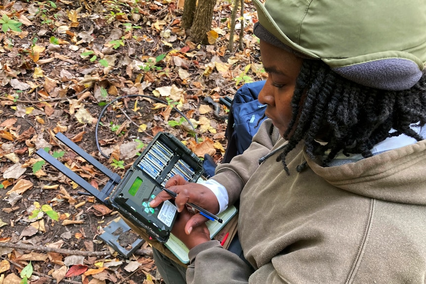 A crouches on the forest floor to press buttons on a box holding equipment. 