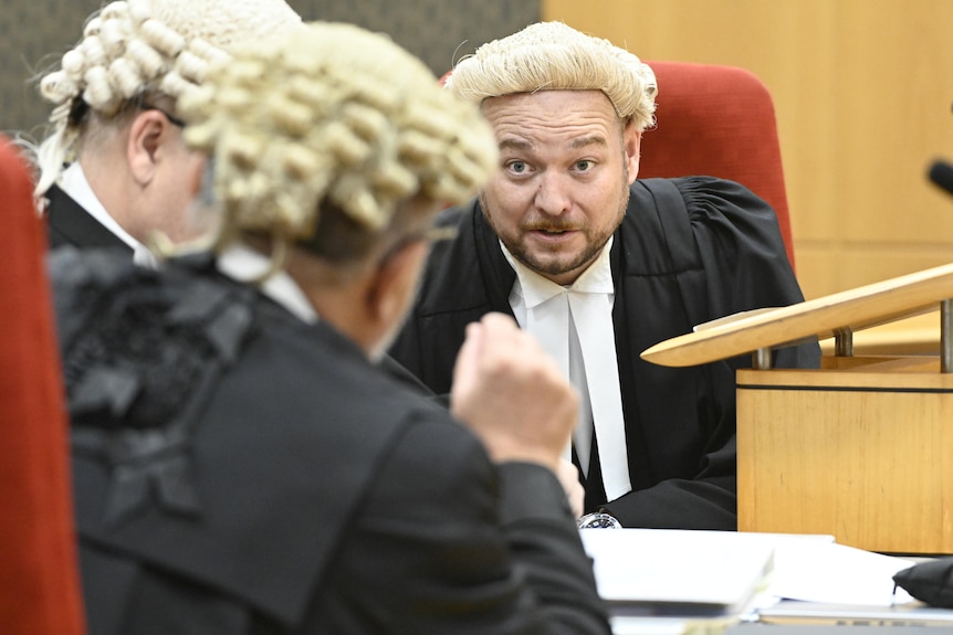 A male defence lawyer wearing a wig. He has facial hair.
