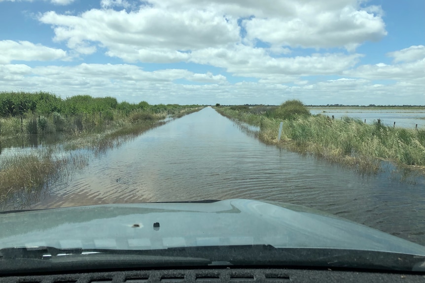 Flooded farm