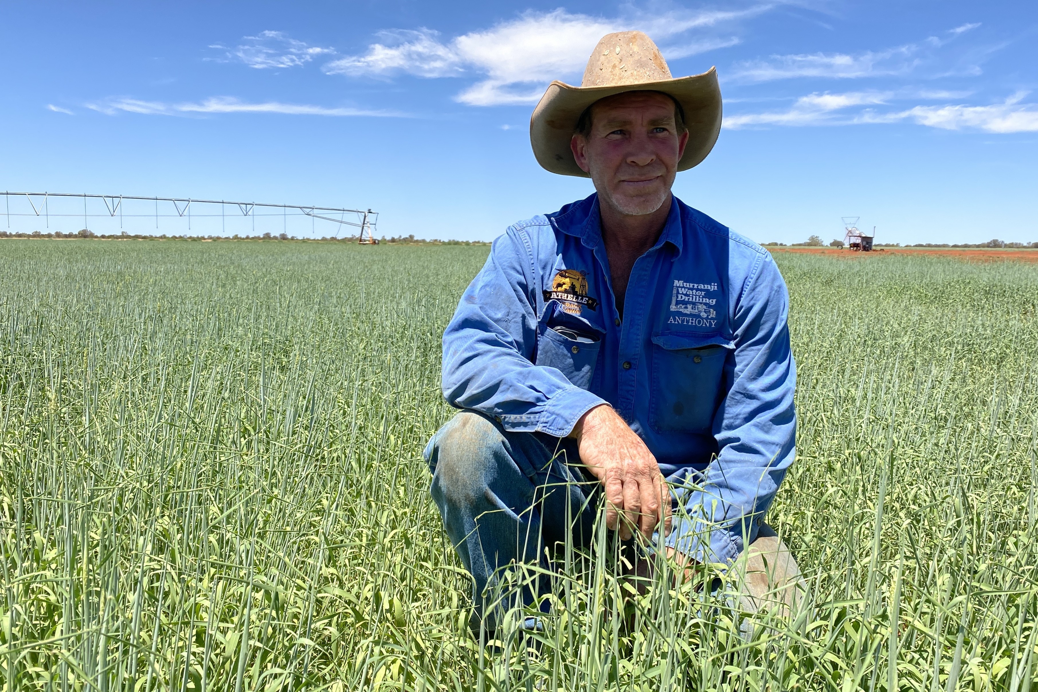 Um homem com chapéu de cowboy ajoelhado em um prado de cevada, com um sistema de irrigação ao fundo.