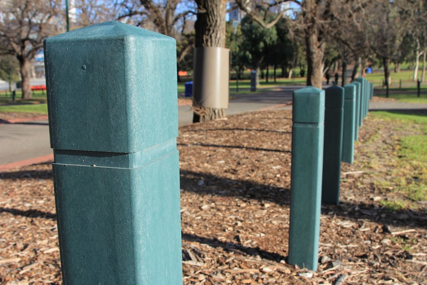 A line of green square bollards in a park.