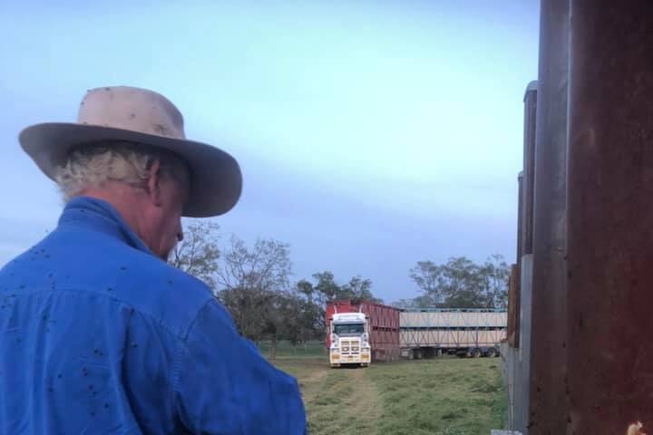 A man in an Akubra stands in a paddock as a road train filled with his cattle approaches him.