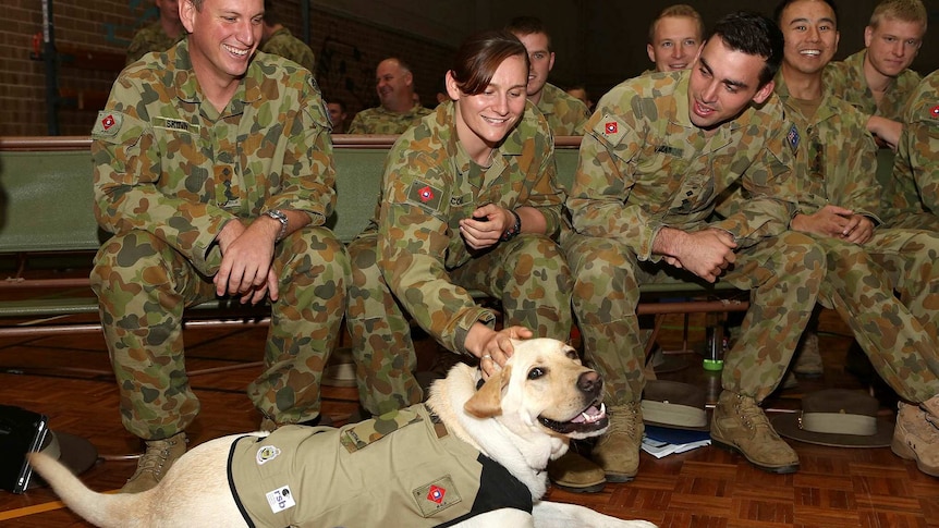 Gunner Murray enjoys a pat after the ceremony.