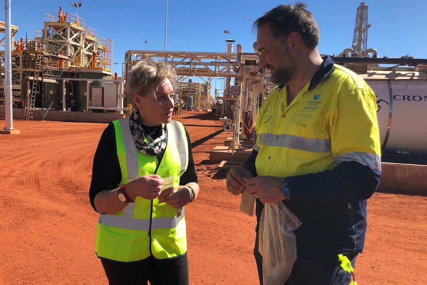 Alannah MacTiernan and George Bauk stand side by side talking on site at a rare earths project.