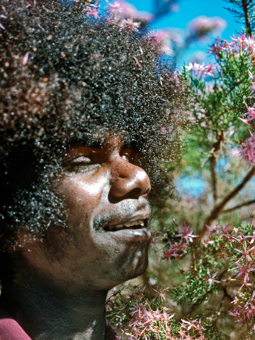 An Aboriginal man with an afro poses next to a flowering tree.
