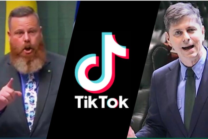 Left: Dan Reapcholi pointing finger in parliament speech, centre: Tiktok logo, right: Dave Layzell in parliament