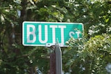 A street sign for Butt St. Tree in background.