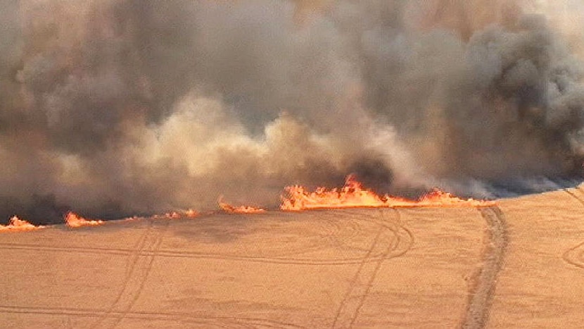 A fire burns in a paddock