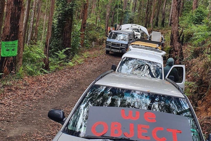 Line of cars parked on a forest road, a 'WE OBJECT' sign on one car and a sign reading 'end native forest logging' on a tree
