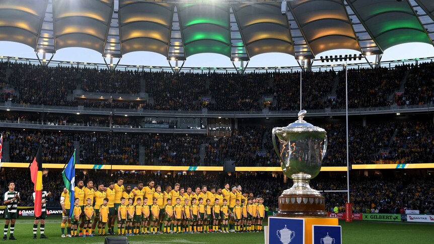 Bledisloe Cup in the foreground