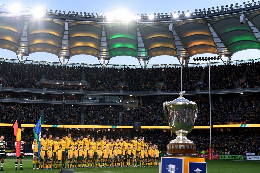 Bledisloe Cup in the foreground