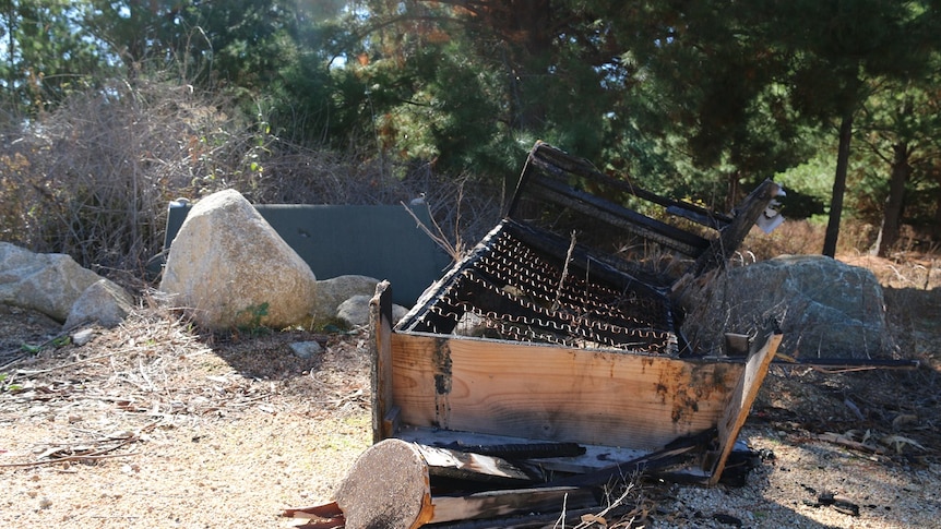 A burnt single bed in the bush.
