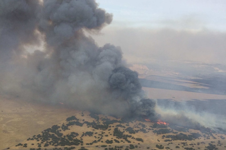 Grey smoke billowing from above a bushfire on dry land in Keilira