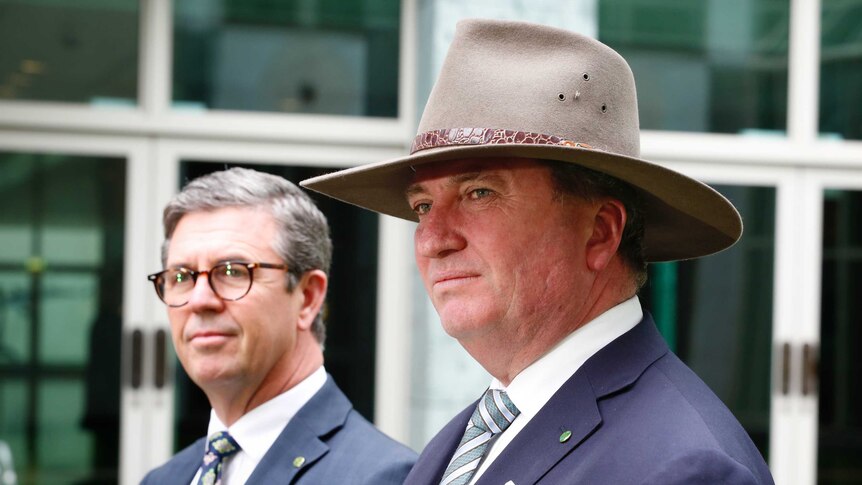 Barnaby Joyce and David Gillespie speak outside parliament house