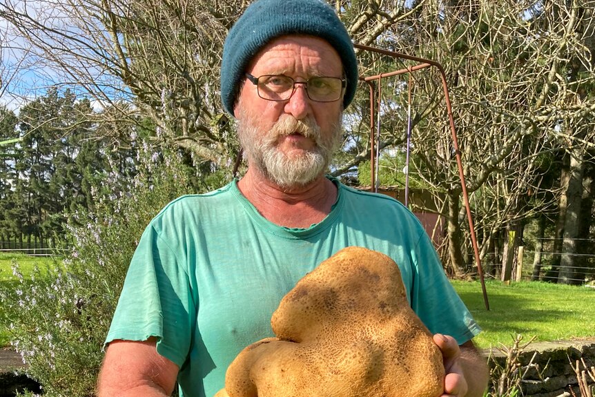 A man in a green shirt and beanie holds a giant brown coloured potato in a garden 