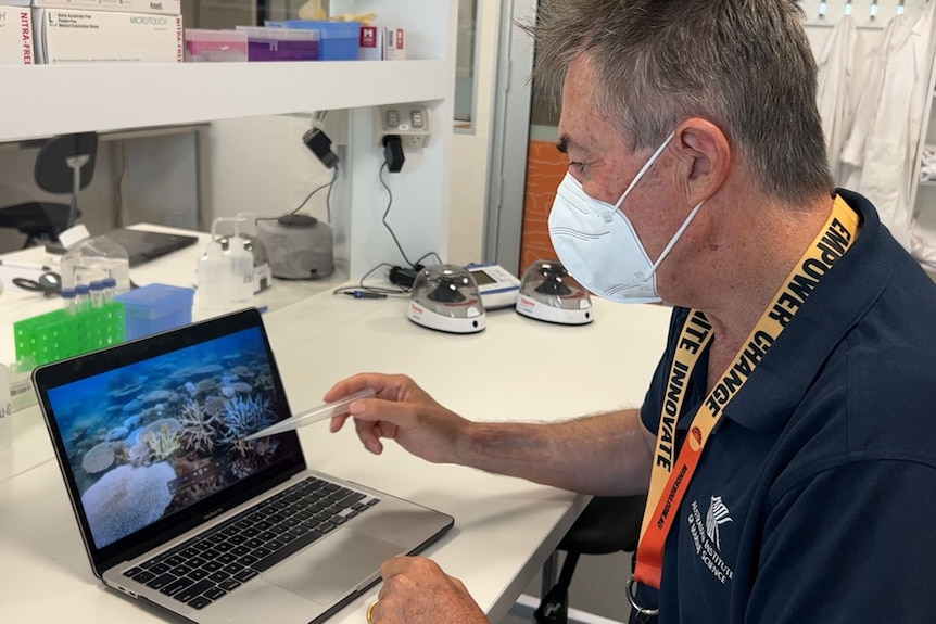 A man wearing a mask looks at a photo of a bleaching reef on a laptop screen