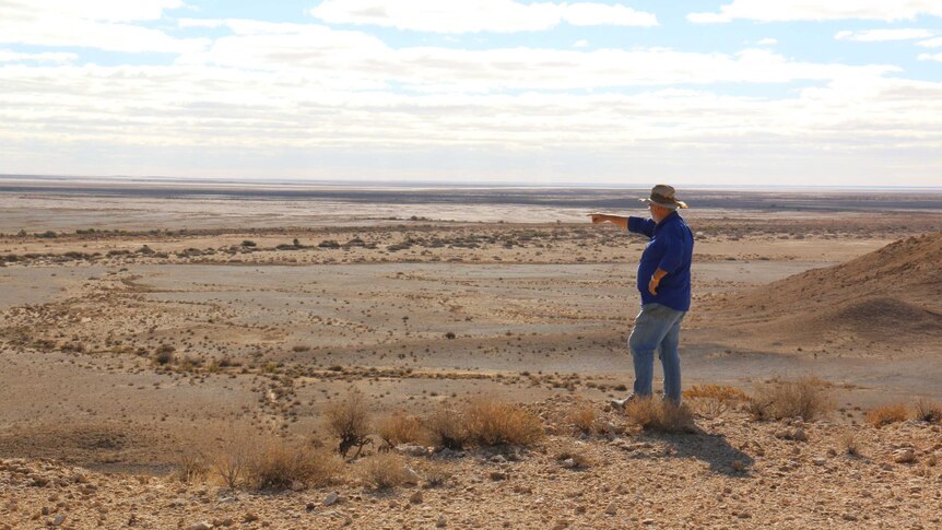 Wide shot of a man pointing away from camera across a vast, open outback landscape.