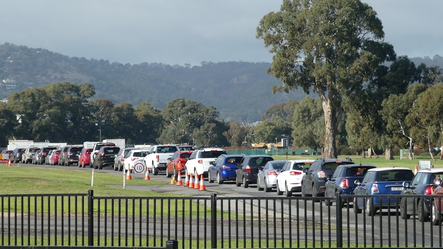 A queue of cars in Adelaide's Victoria Park coronavirus testing site.