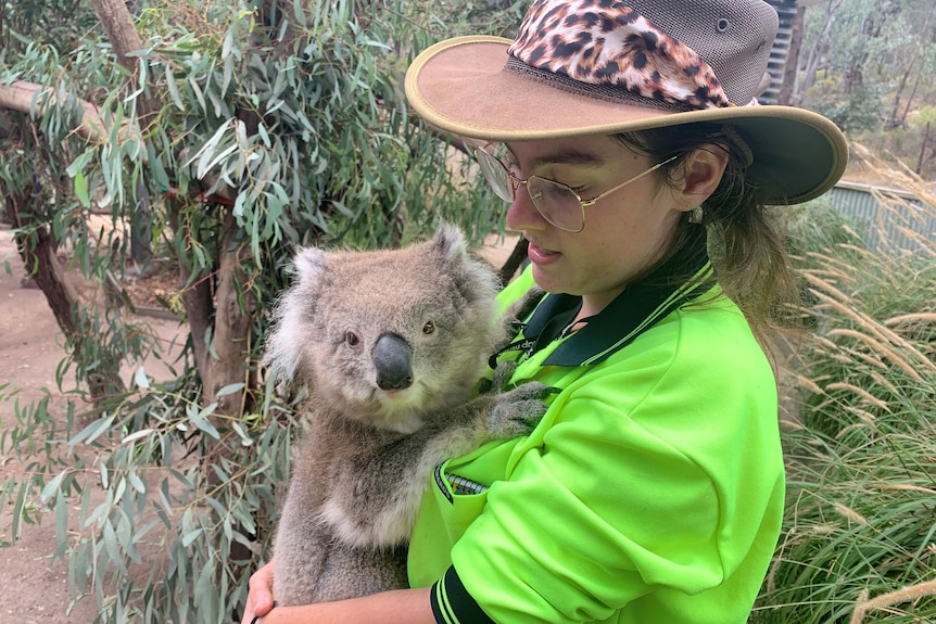 A young woman wearing glasses, hi-viz shirt and Akubra hat holding a young koala with a gum tree in the background.