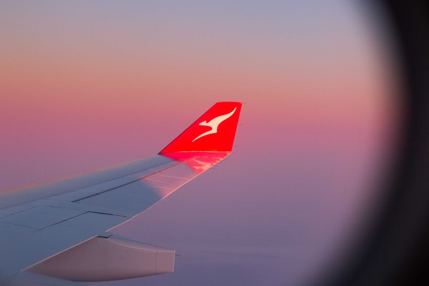 Qantas plane wing