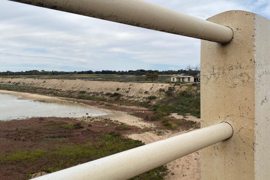 A rail overlooking a levee bank in Renmark with a floodplain half full.