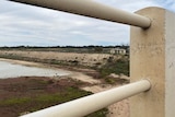 A rail overlooking a levee bank in Renmark with a floodplain half full.