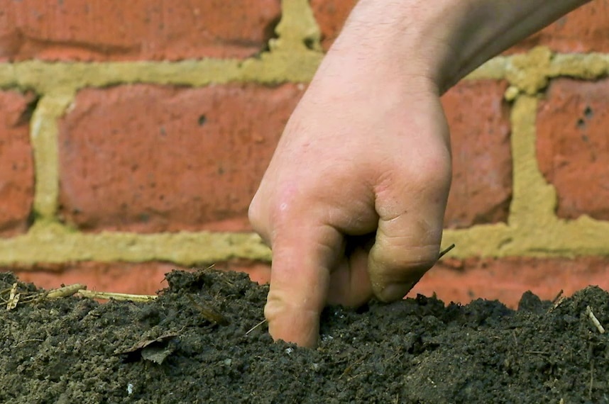 A hand putting a finger in dirt
