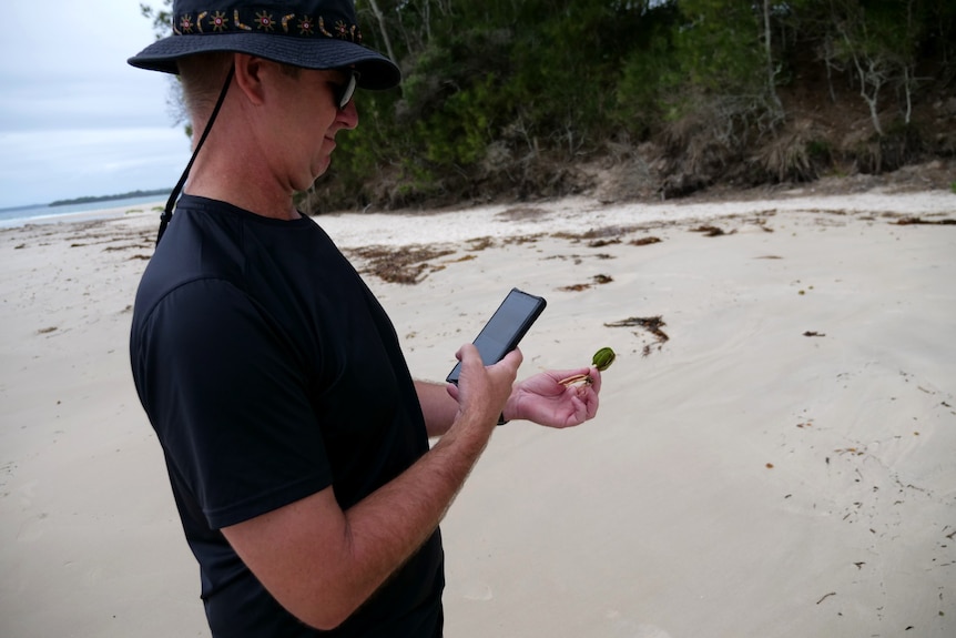 Dion photographs a small green plant with his phone on a beach wearing a black hat and t-shirt.