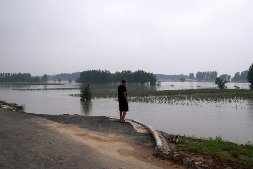 一名男子站在河边 看向漫灌的洪水