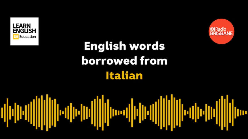 English words borrowed from Italian