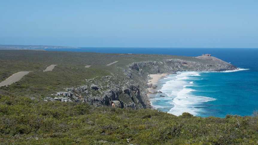 A rocky coastline with some green ground