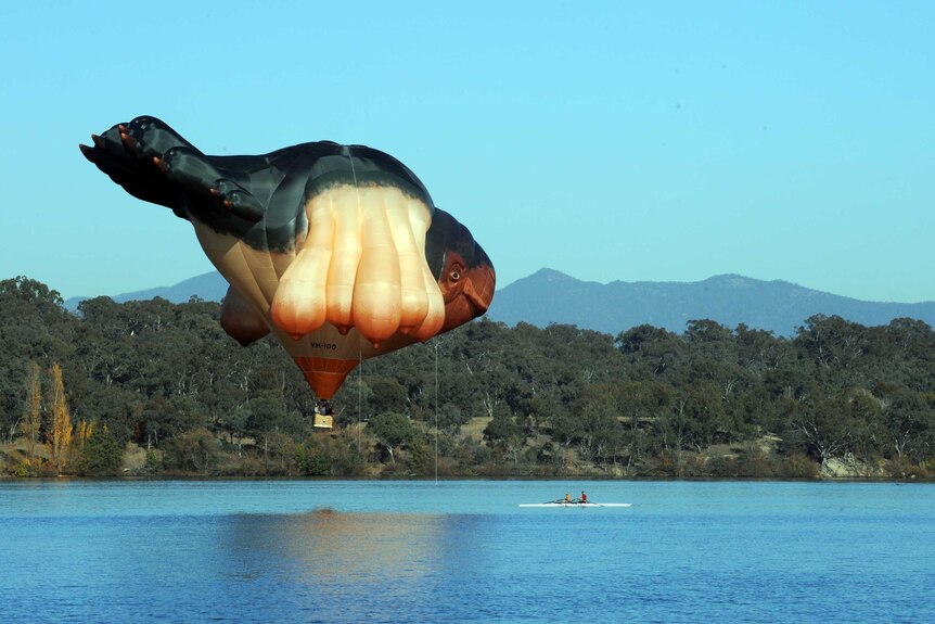 Skywhale flies over Lake Burley Griffin.
